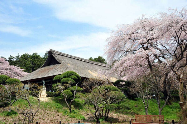 【埼玉県内発】 春らんまんミステリーツアー 日帰り1